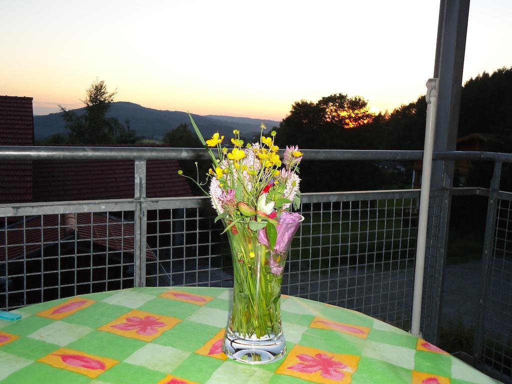 Ferienwohnung Bodenmais Am Silberberg 外观 照片