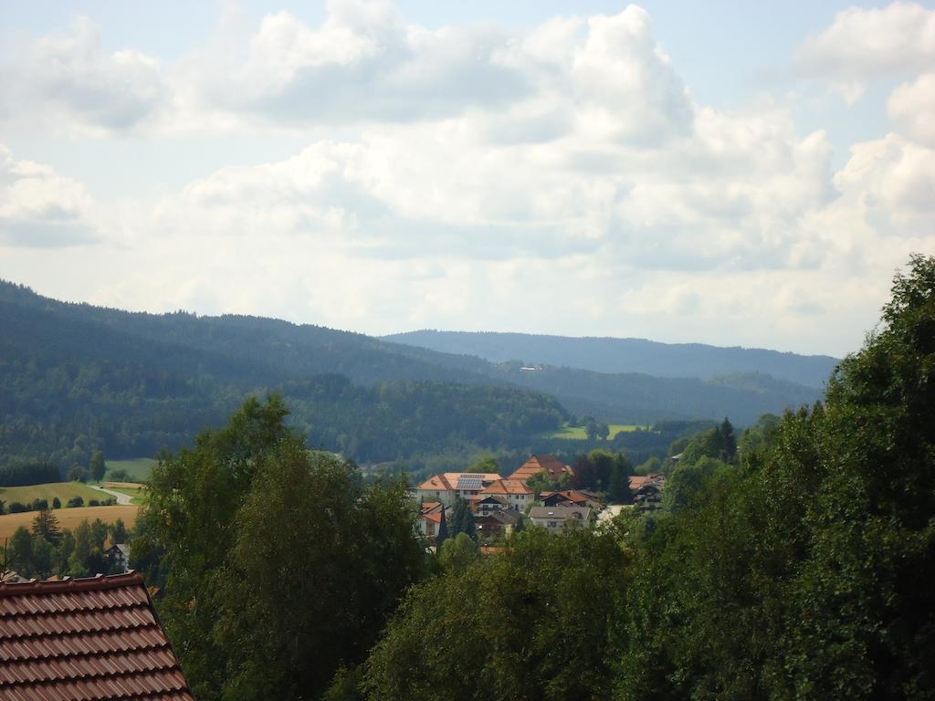 Ferienwohnung Bodenmais Am Silberberg 外观 照片